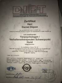 Zertifikat-02