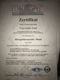 Zertifikat-03