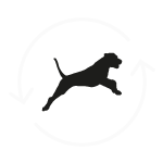 Unsere Hundepension Doggy Center hilft auch in Notfall. Kontaktieren Sie uns! Unsere Hundepension Doggy Center hilft auch in Notfall. Kontaktieren Sie uns!