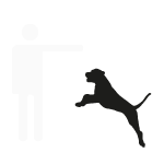 Sie suchen eine Hundeschule für Ihren Hundewelpen? Kontaktieren Sie die Hundepension Doggy Center in Holzwickede! Sie suchen eine Hundeschule für Ihren Hundewelpen? Kontaktieren Sie die Hundepension Doggy Center in Holzwickede!